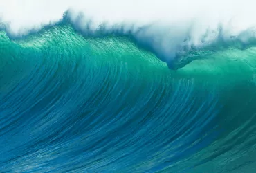 <span>VPS experience with alternative fuels</span>
